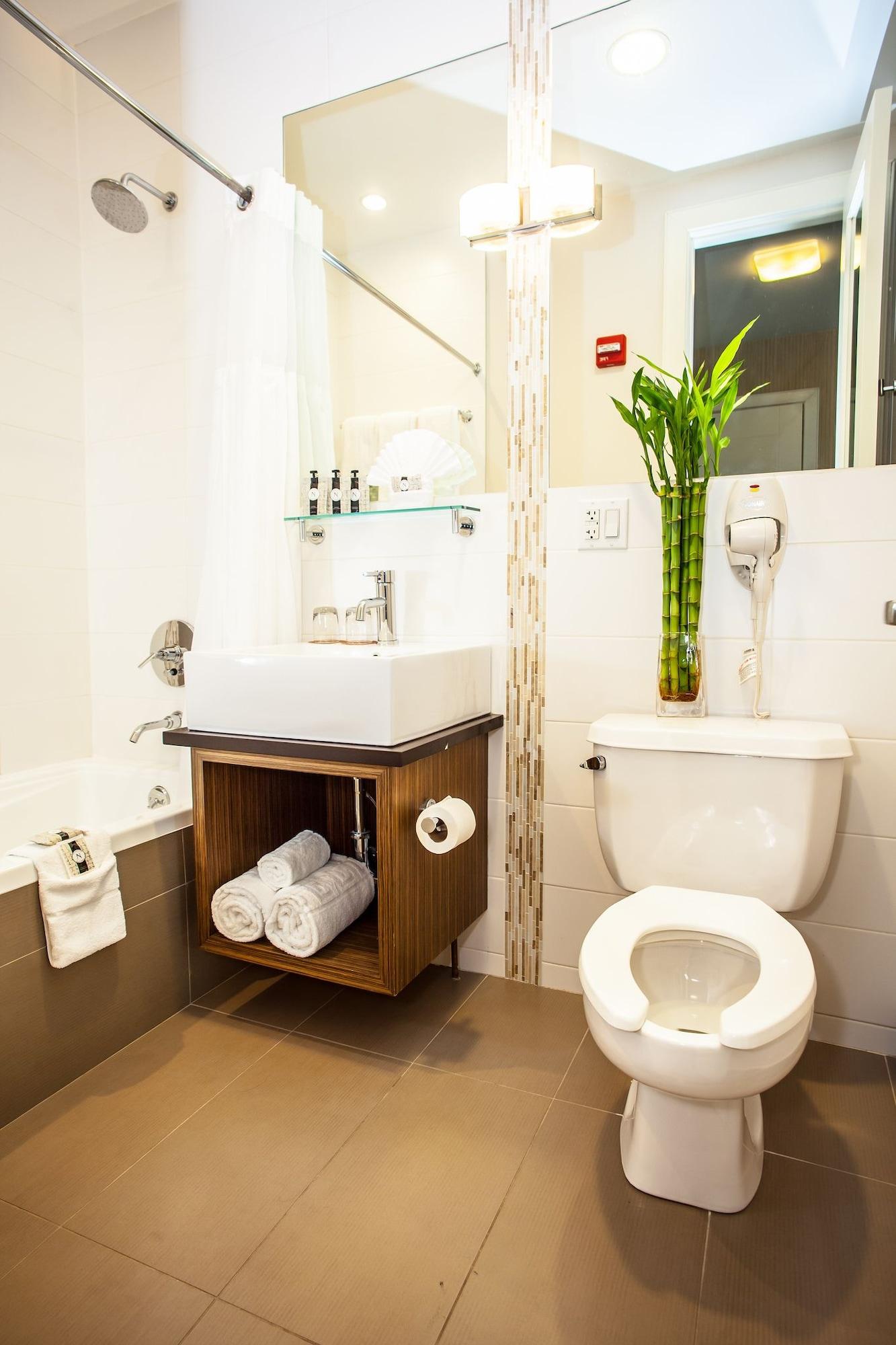 Aura Brooklyn 4*